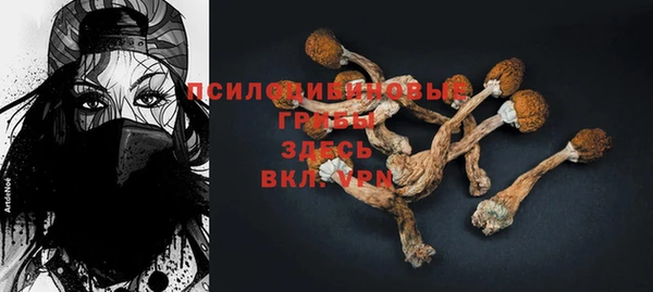 стафф Лихославль
