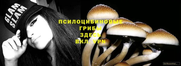 круглые Аша