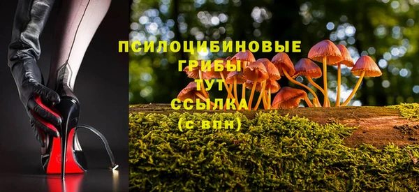 СК Липки