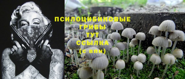 стафф Лихославль
