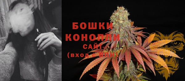 СК Липки