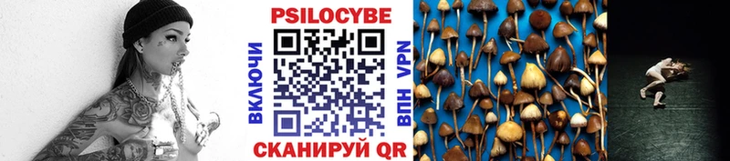 Галлюциногенные грибы Psilocybe  Устюжна 