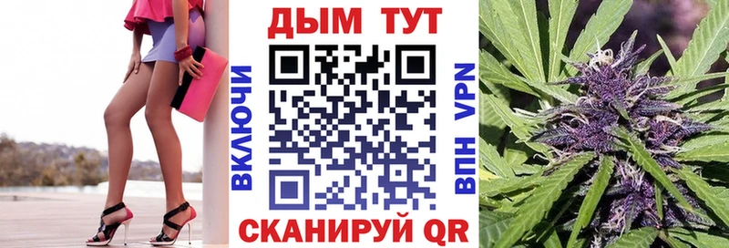 Каннабис OG Kush  Устюжна 